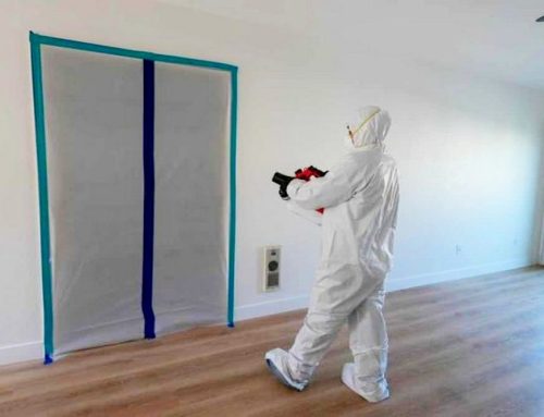 What the CDC’s New Mold Study Actually Says | San Diego