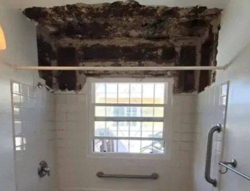 When Mold Remediation Requires Professional Containment