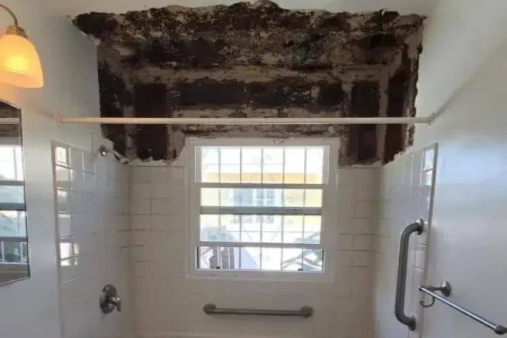 When Mold Remediation Requires Professional Containment