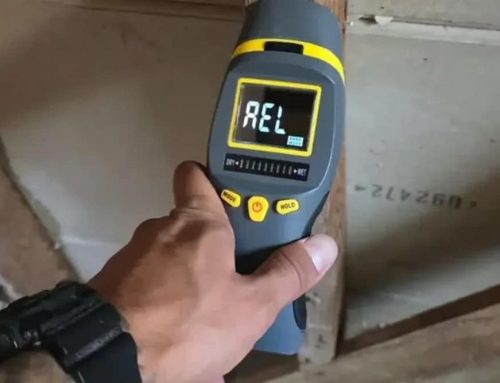 Why Mold Inspection Matters Before Remediation Begins