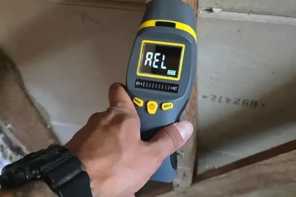 Why Mold Inspection Matters Before Remediation Begins
