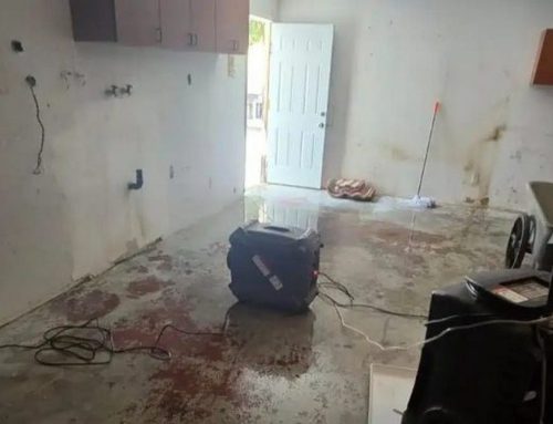How Sewage Damage Can Affect Walls, Floors, and Belongings