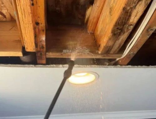 Mold Damage Restoration for Homes After Water Leaks