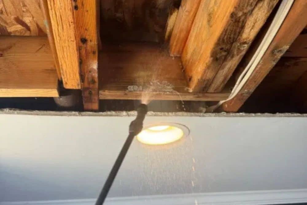 Mold Damage Restoration for Homes After Water Leaks