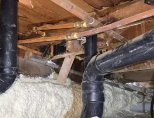 Why Crawl Space Mold Requires Professional Remediation