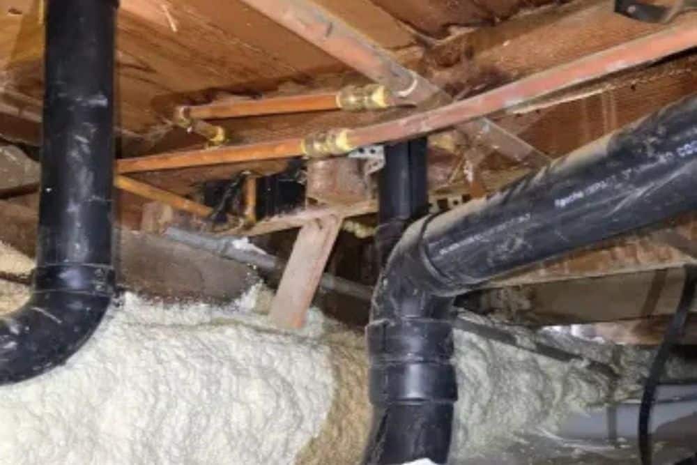 Why Crawl Space Mold Requires Professional Remediation