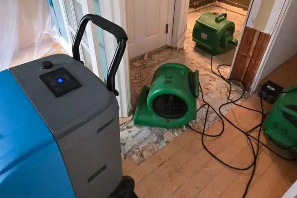 Why Professional Deodorization Matters After Property Damage