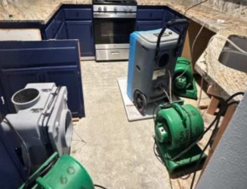 Why Professional Water Extraction Helps Protect Your Flooring