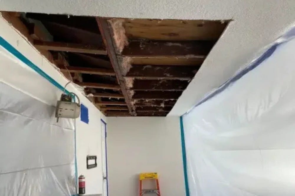 When Mold Remediation Requires Insulation Replacement