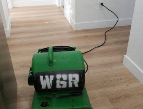 When Water Damage Requires Hardwood Floor Replacement