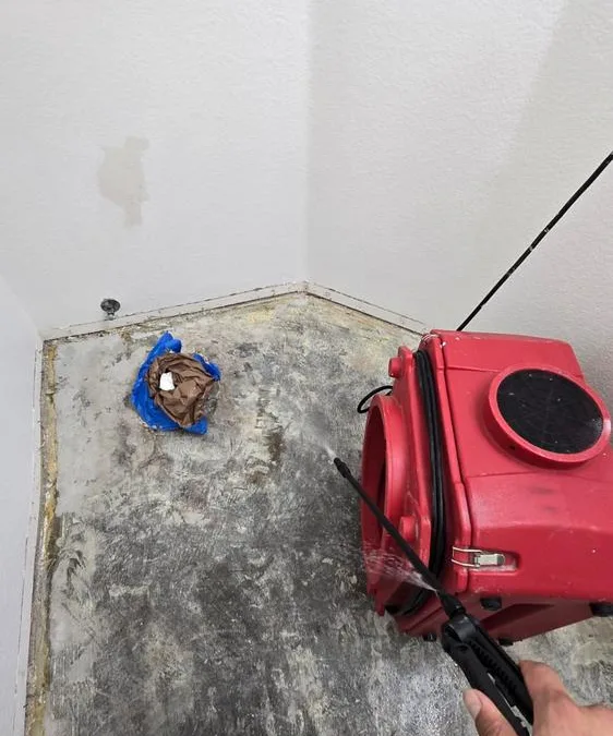 Bathroom Floor Water Damage Remediation in Oceanside, CA