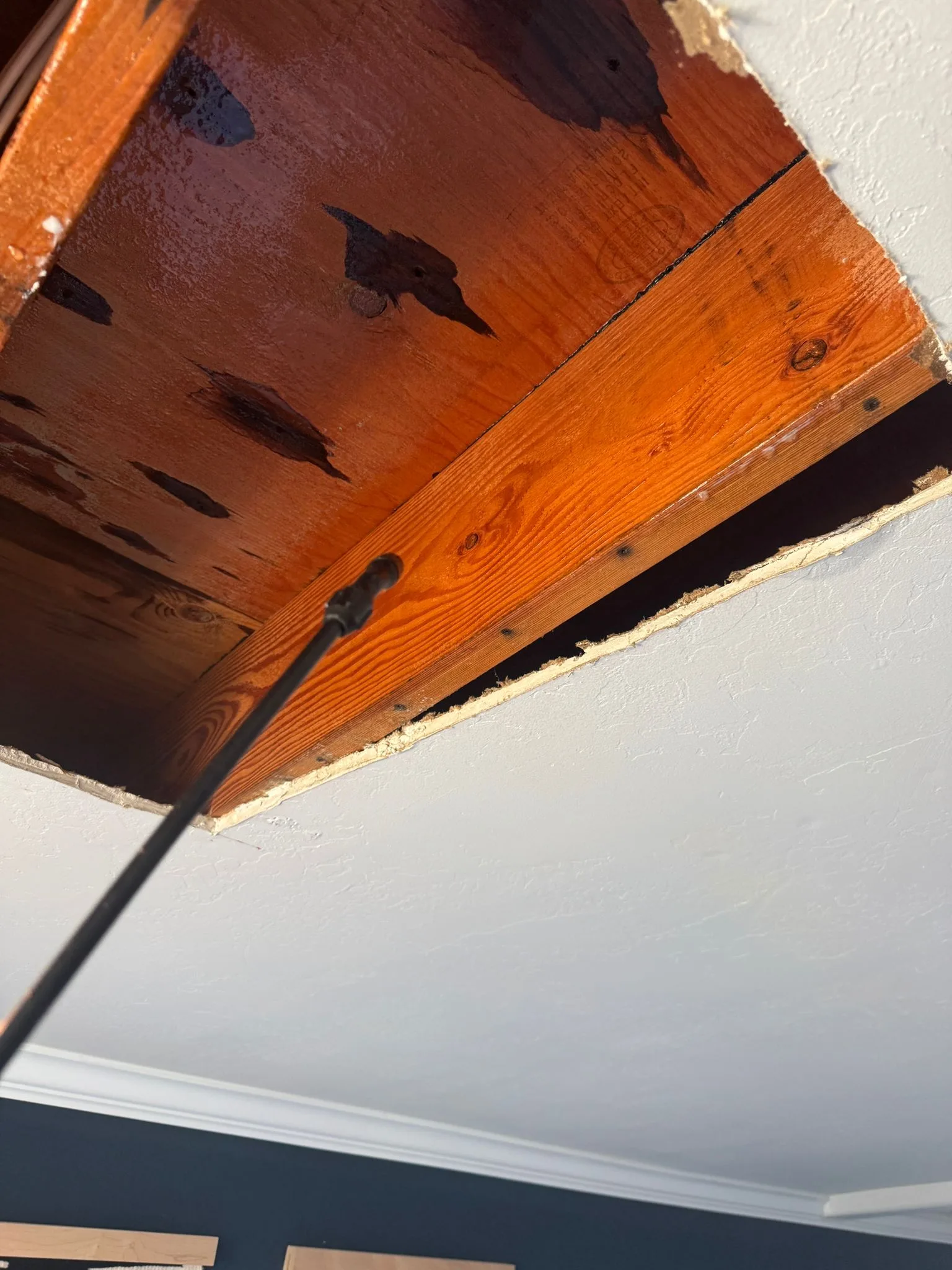 Ceiling Water Damage Remediation in San Diego