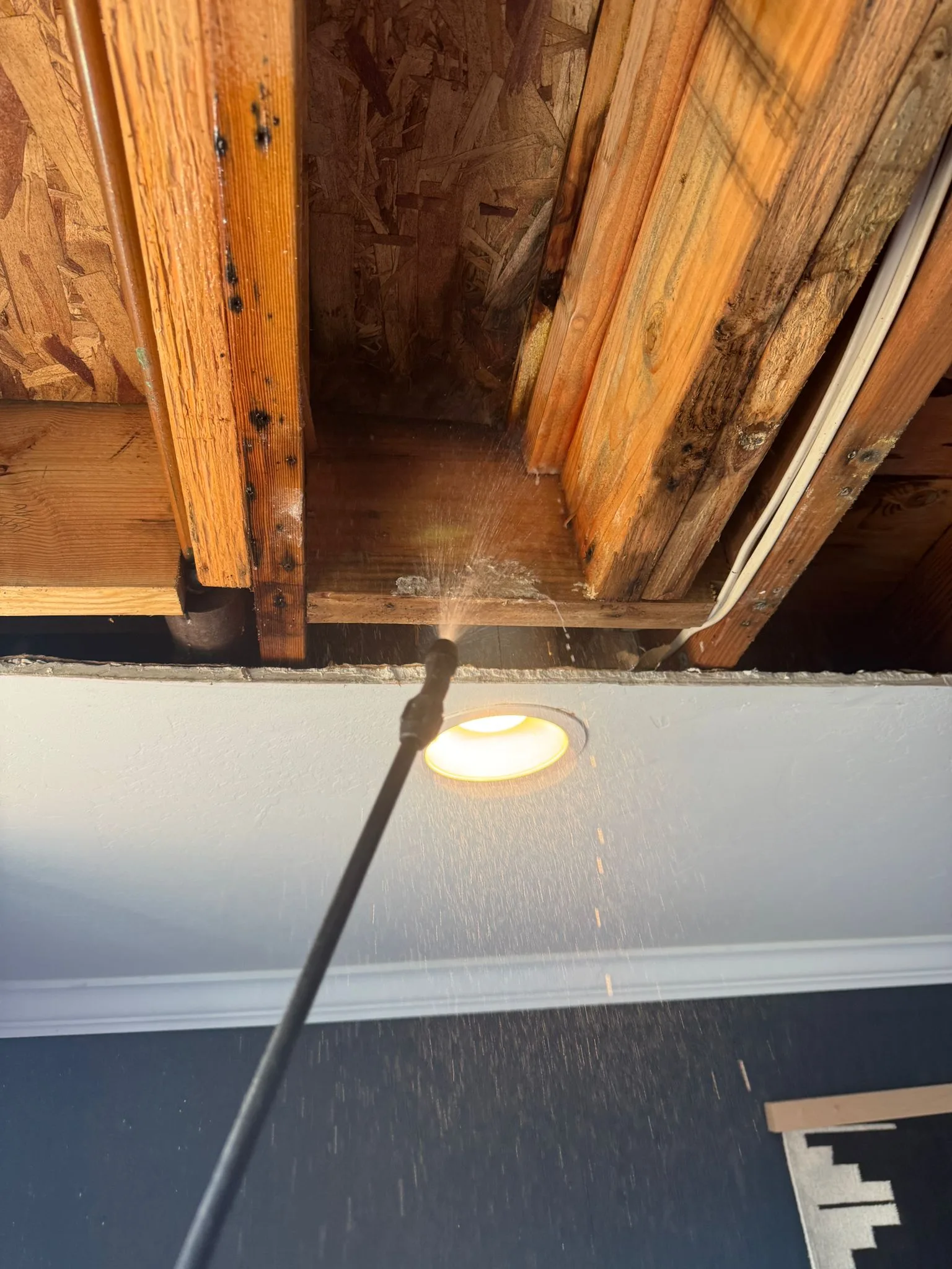 Ceiling Water Damage Remediation in San Diego