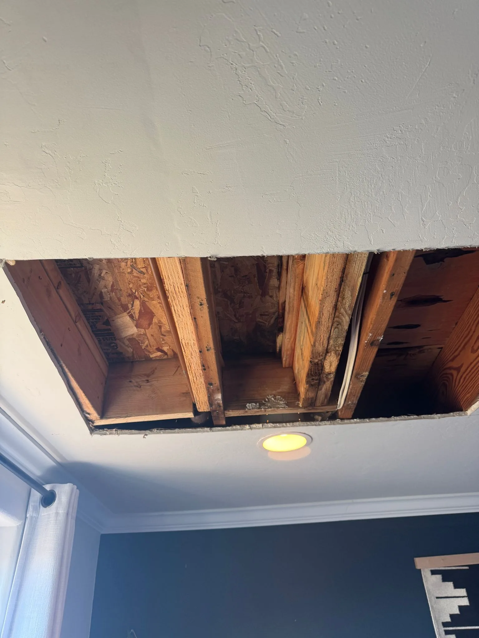 Ceiling Water Damage Remediation in San Diego