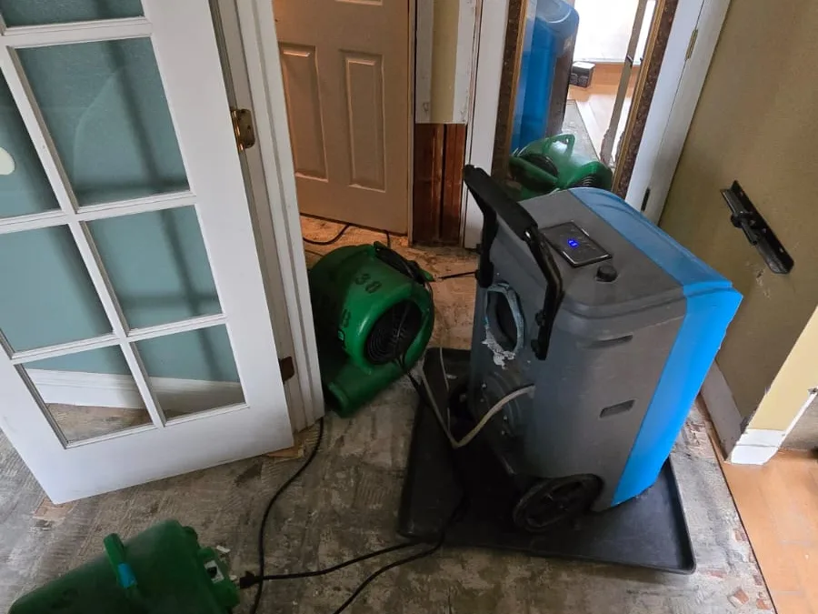 Closet Water Damage Restoration in Encinitas, CA