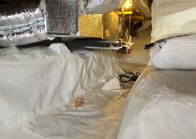 Crawl Space Mold Remediation