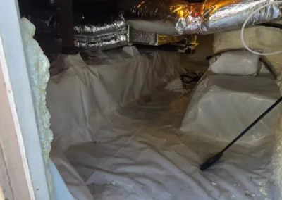 Crawl Space Mold Remediation