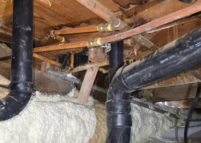 Crawl Space Mold Remediation