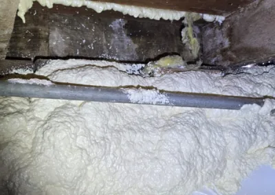 Crawl Space Mold Remediation