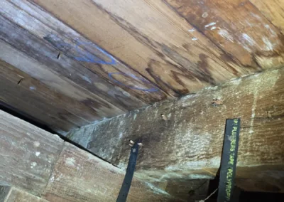 Crawl Space Mold Remediation