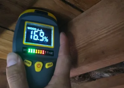Crawl Space Mold Remediation