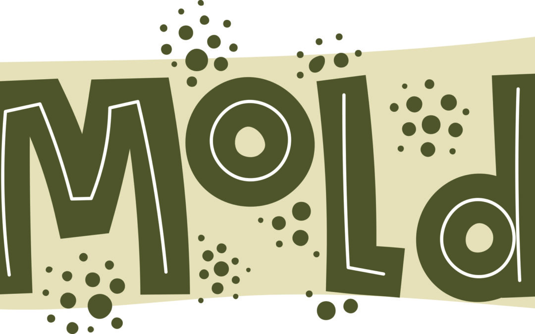 Differences Between Mold and Mildew