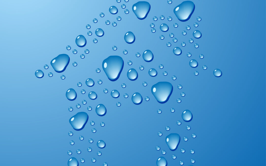 Expert Tips for Repairing Water Damage in Poway