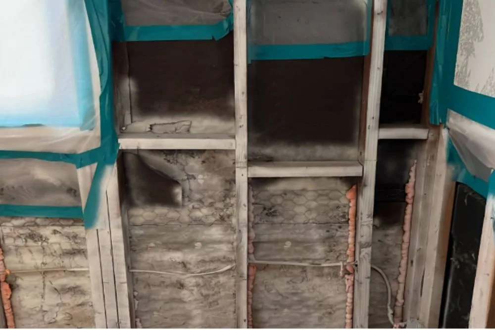 How San Diego Businesses Can Handle Mold the Right Way