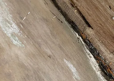 Kitchen Cabinet Mold Remediation