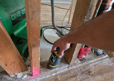 Kitchen Cabinet Mold Remediation