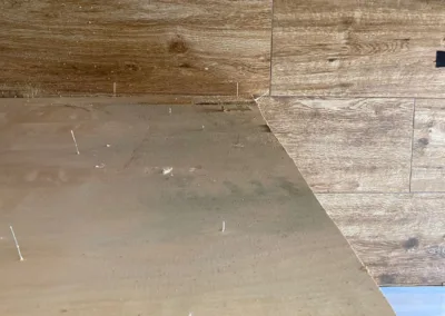 Kitchen Cabinet Mold Remediation