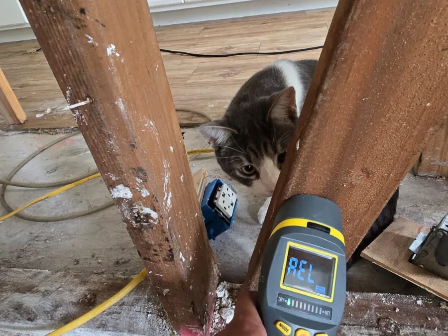 Kitchen Cabinet Mold Remediation in San Marcos, CA