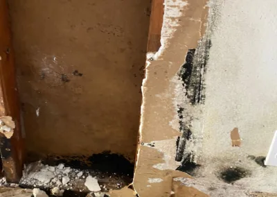 Kitchen Cabinet Mold Remediation