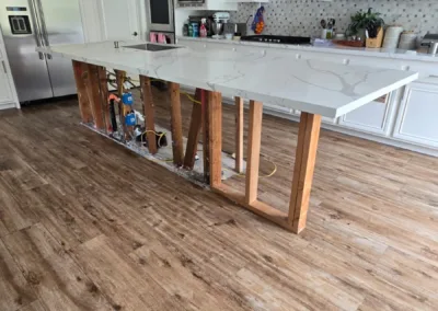 Kitchen Cabinet Mold Remediation