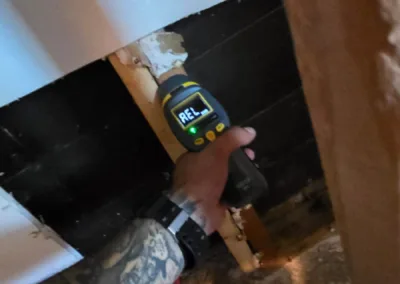 Kitchen Mold Remediation Service