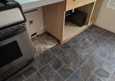 Kitchen Mold Remediation Service