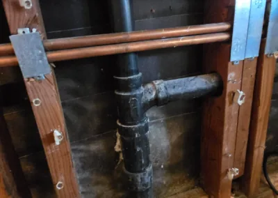 Kitchen Mold Remediation Service