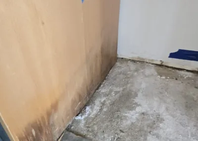 Kitchen Mold Remediation Service