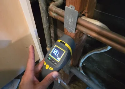 Kitchen Mold Remediation Service