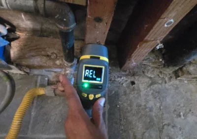 Kitchen Mold Remediation Service