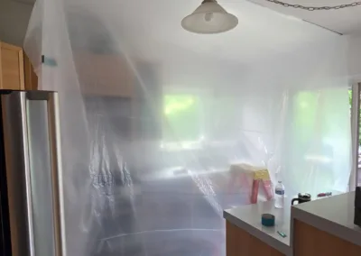 Kitchen Mold Remediation Service