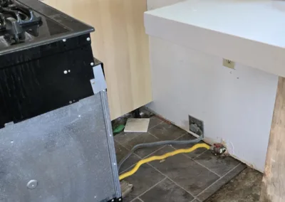 Kitchen Mold Remediation Service