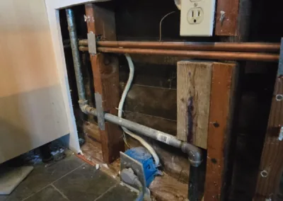 Kitchen Mold Remediation Service