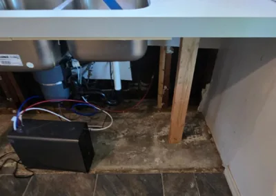 Kitchen Mold Remediation Service