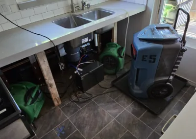 Kitchen Mold Remediation Service