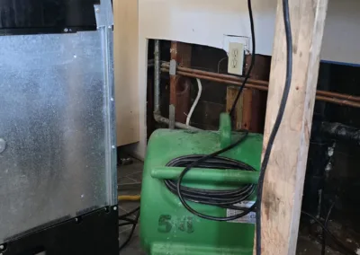 Kitchen Mold Remediation Service