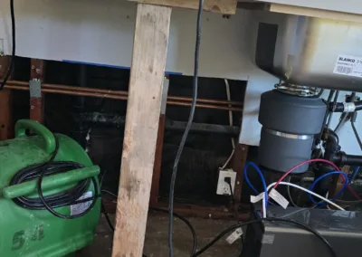 Kitchen Mold Remediation Service