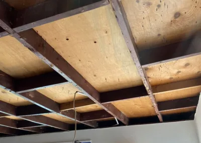 Living Room Ceiling Mold Remediation in La Mesa, CA