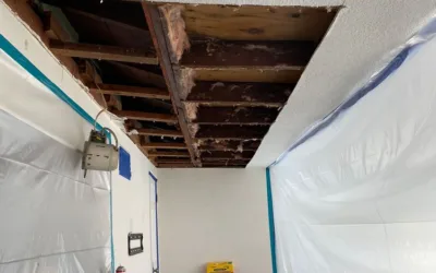 Living Room Ceiling Mold Remediation in La Mesa, CA