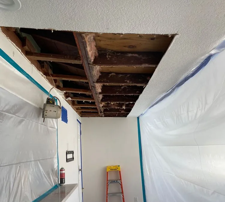Living Room Ceiling Mold Remediation in La Mesa, CA